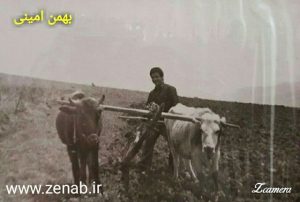 IMG_zenab.ir.1358.13